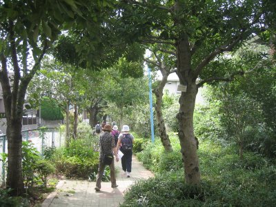 井草川遊歩道